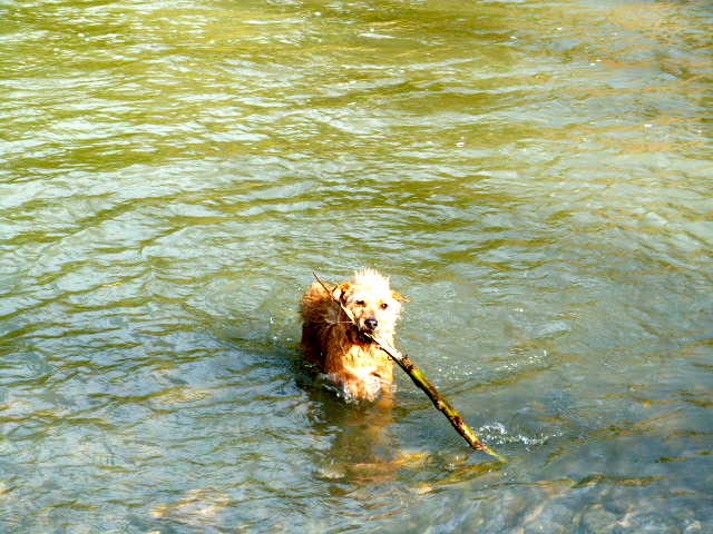 Then another game of Watery Stick